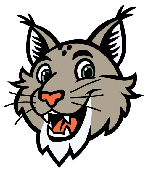 Larry the Lynx - Lynx Kids Club mascot